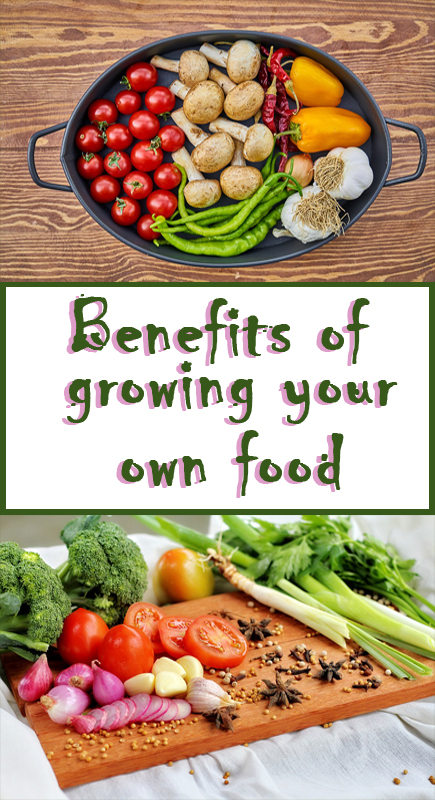 Benefits of growing your own food
