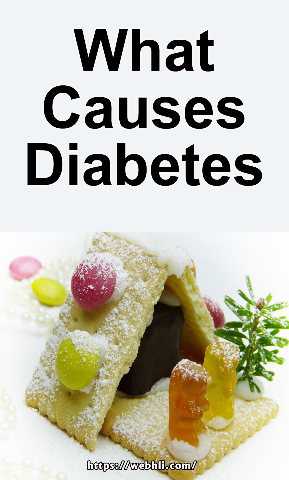 What Causes Diabetes? | Healthy Lifestyle