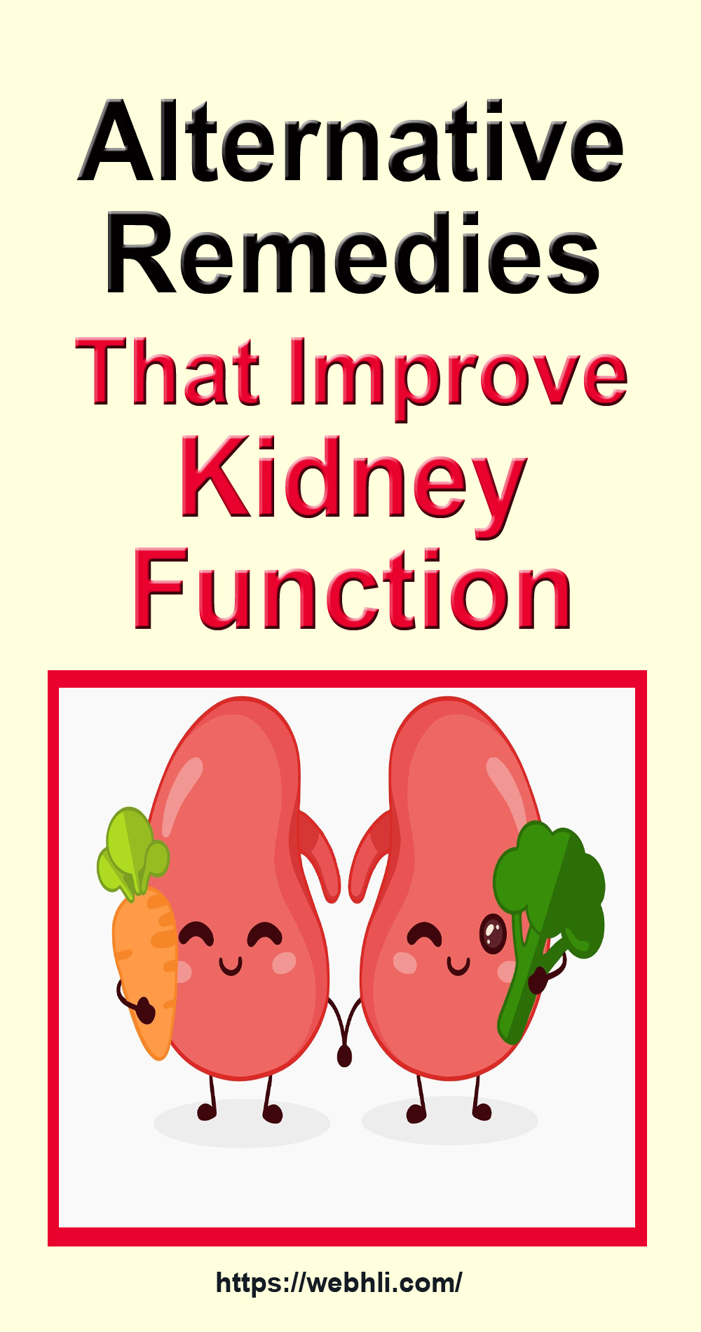 Alternative Remedies That Improve Kidney Function | Healthy Lifestyle