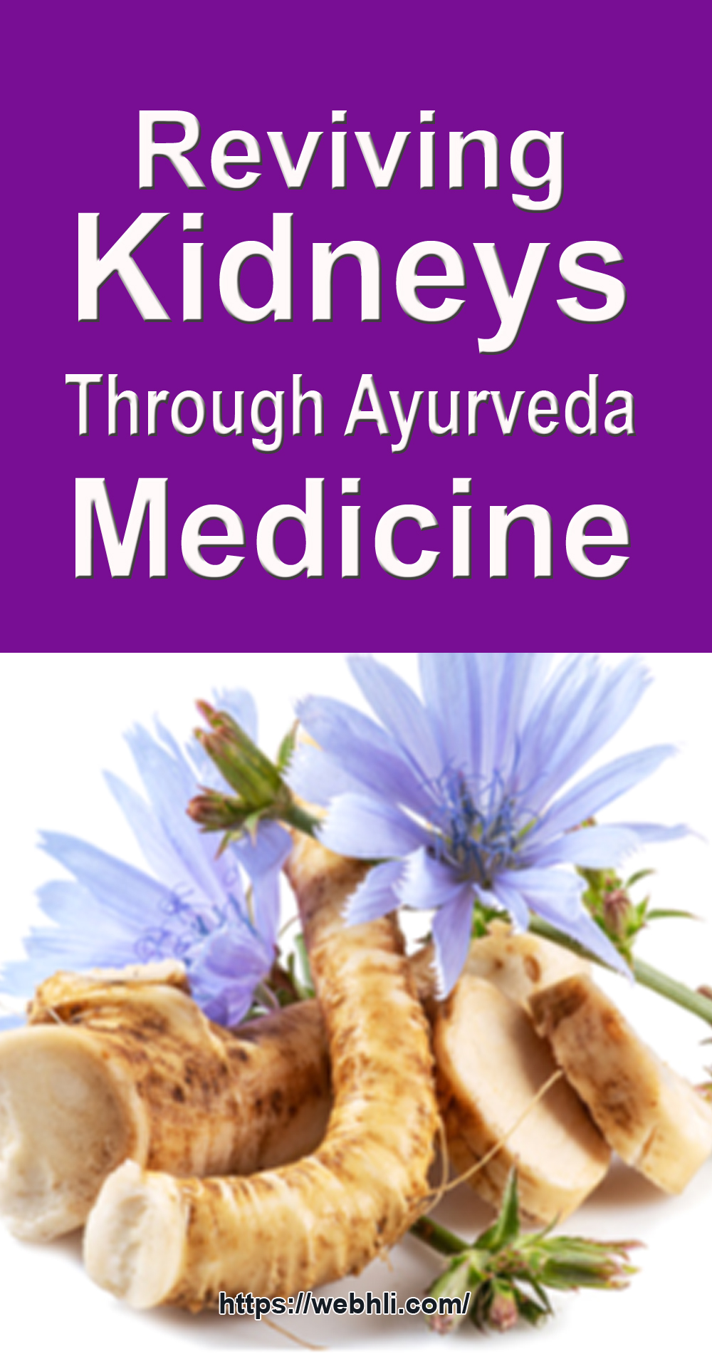 reviving-kidneys-through-ayurveda-medicine-healthy-lifestyle