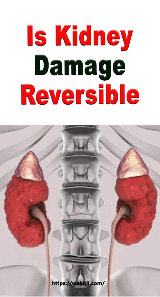 is-kidney-damage-reversible-healthy-lifestyle