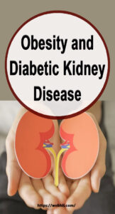 Obesity and Diabetic Kidney Disease | Healthy Lifestyle