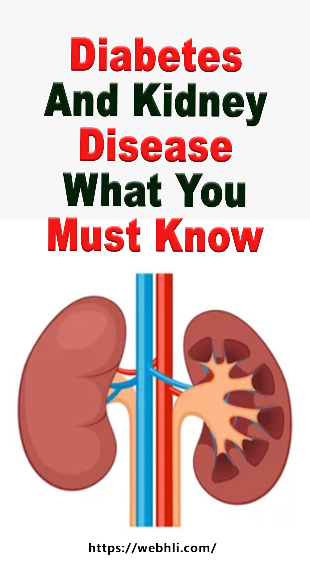 Diabetes And Kidney Disease What You Must Know Healthy Lifestyle
