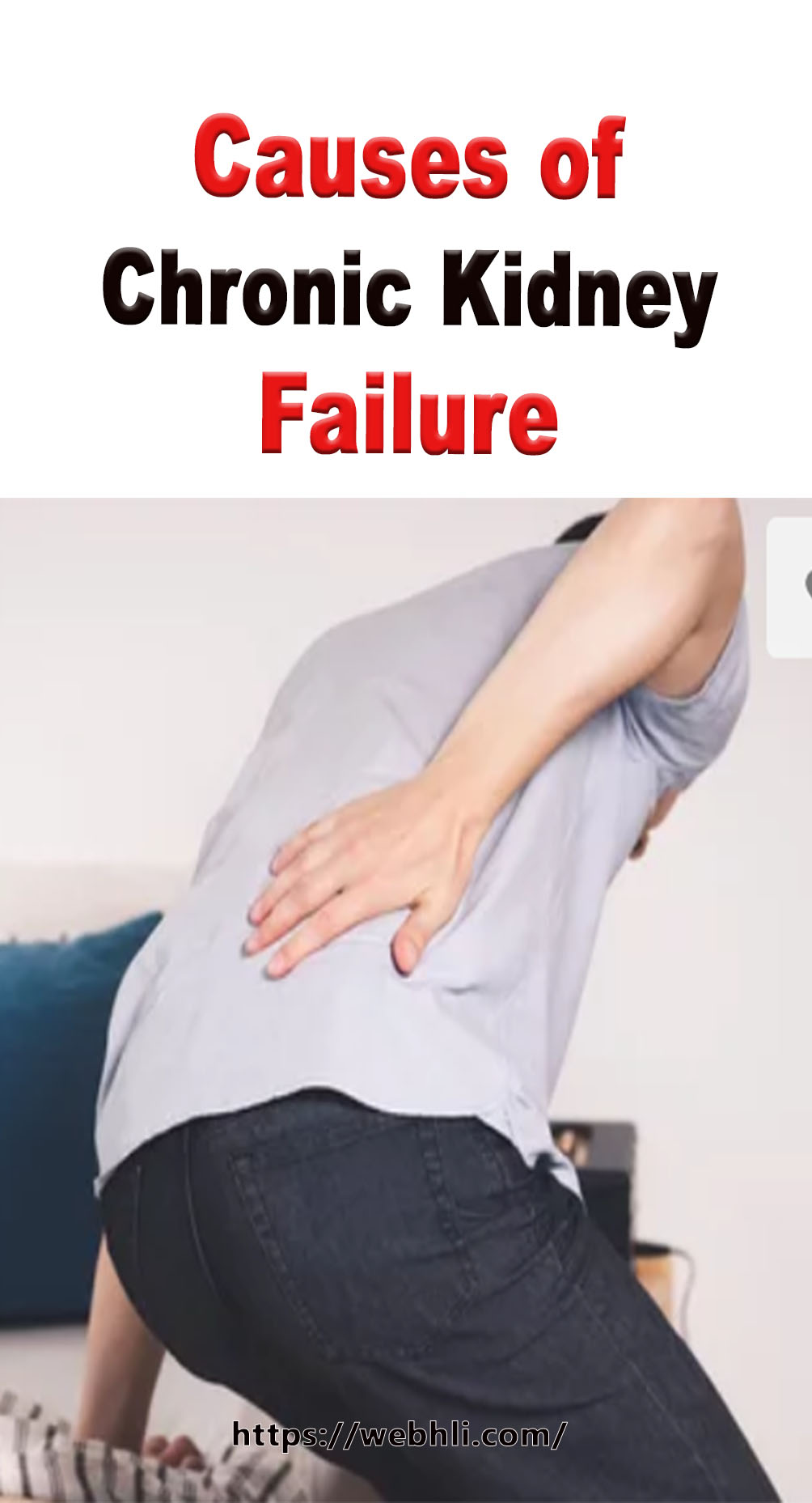 Causes of Chronic Kidney Failure Healthy Lifestyle