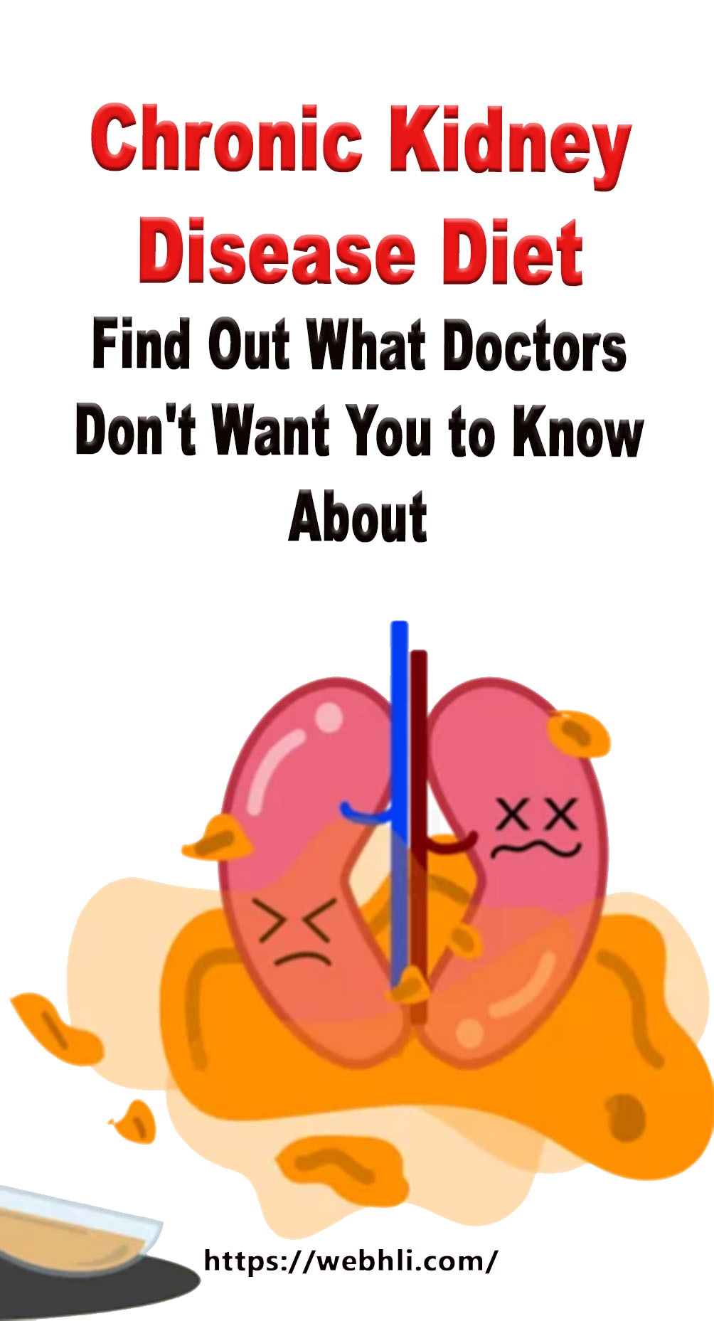 Chronic Kidney Disease Diet Find Out What Doctors Don’t Want You to