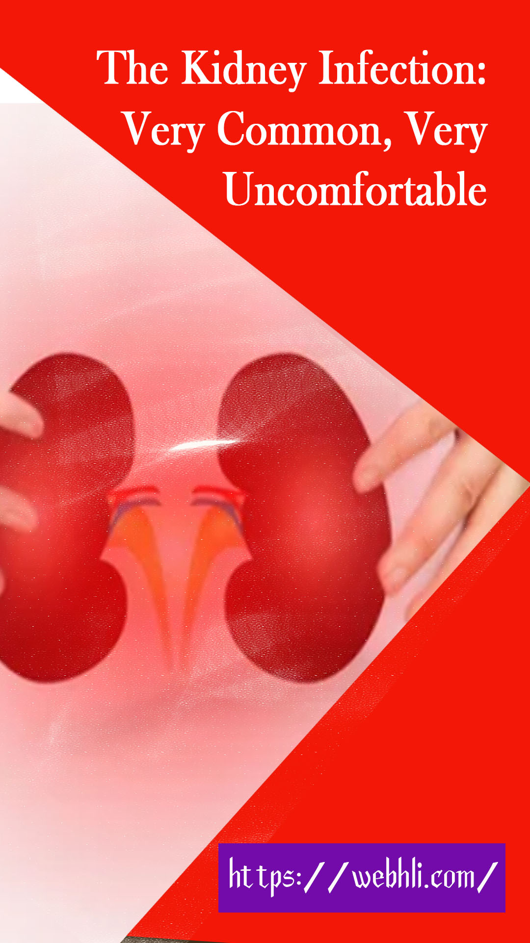 does-my-back-hurt-or-my-kidneys-healthykidneyclub