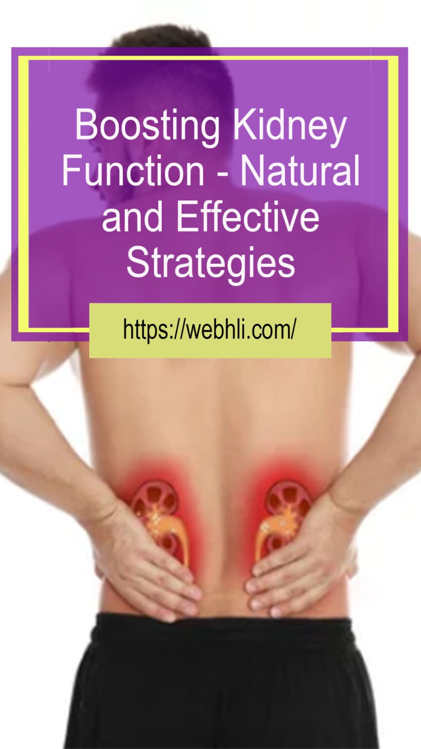 Boosting Kidney Function – Natural and Effective Strategies | Healthy ...