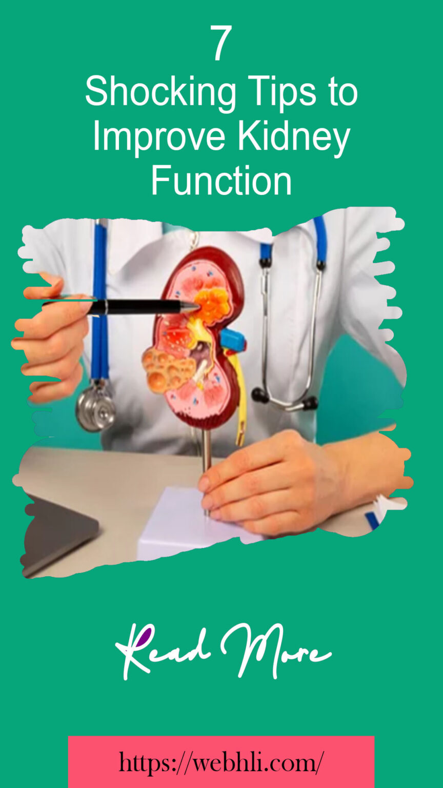 7 Shocking Tips to Improve Kidney Function | Healthy Lifestyle