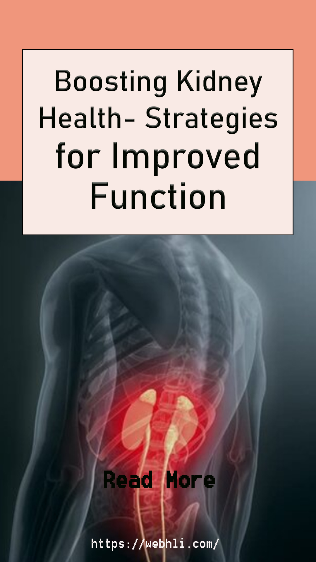 Boosting Kidney Health: Strategies For Improved Function 